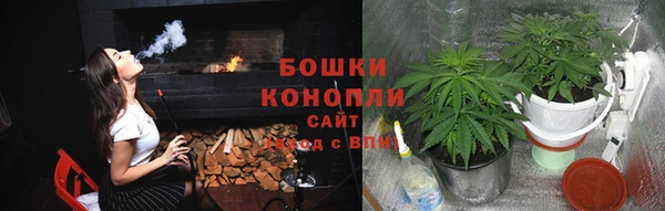 соль курить ск Новозыбков