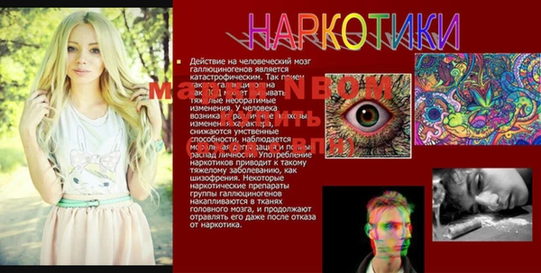 амф Алексеевка