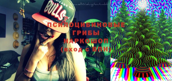 амф Алексеевка